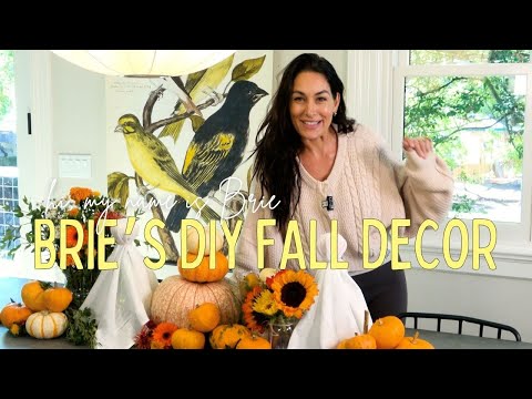 Видео: Мой секрет уютного осеннего декора без отходов 🎃🍷 | Привет, меня зовут Бри!