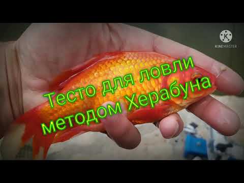 Видео: Насадка для ловли карася азиатским методом...