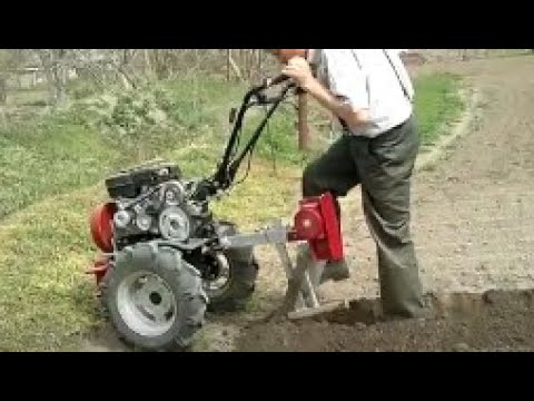 Видео: Посадка картофеля 2022