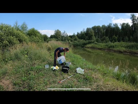 Видео: Как УЛУЧШИТЬ состояние ПРУДА | Спустя 21 день