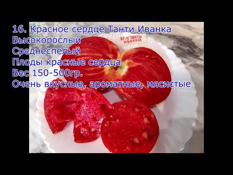 Видео: 2я часть каталога индетерминантных сортов томатов