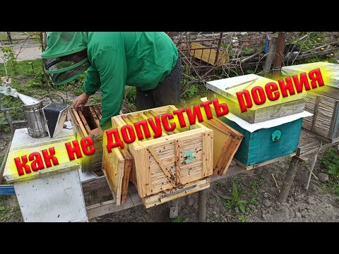 Видео: Противороевой метод Демари. Как вывести пчел из роевого состояния. Расширение пчел на пасеке весной.