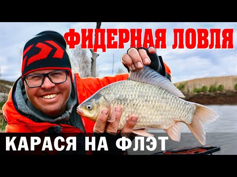 Видео: ФИДЕРНАЯ ЛОВЛЯ КАРАСЯ НА ФЛЭТ.