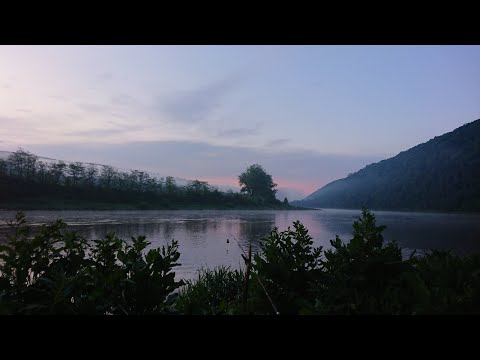 Видео: На сома \ Дністер