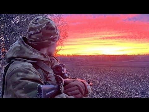 Видео: Спокойная ночь | Slowed