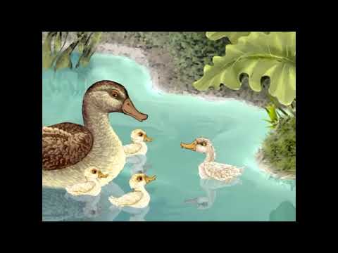 Видео: Гадкий утенок (сказка Ханса Кристиана Андерсена)