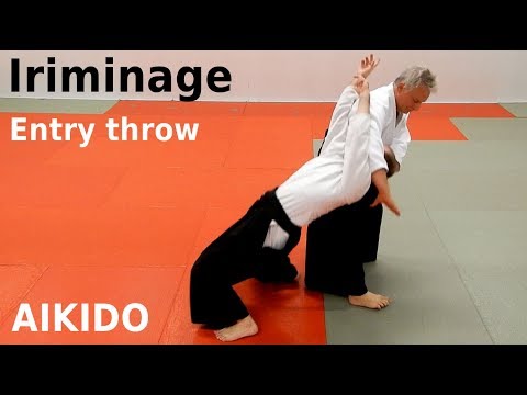 Видео: Техника Айкидо IRIMINAGE против захватов и ударов, Стефан Стенудд, 7 дан Айкикай шихан