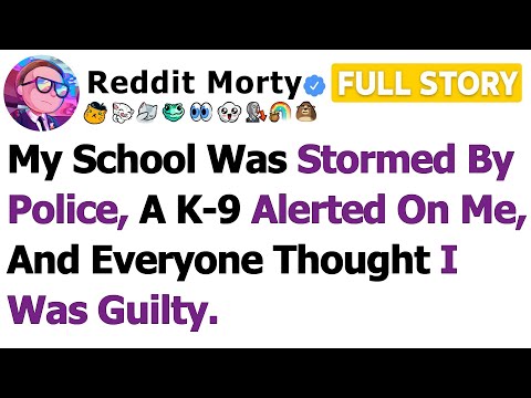 Видео: [ПОЛНАЯ ИСТОРИЯ] Мою школу штурмовала полиция, на меня вызвали кинолога, и все подумали, что я…