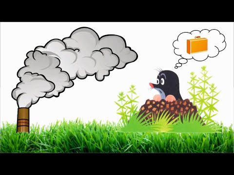 Видео: 🐹 КРОТЫ УХОДЯТ НАВСЕГДА! Как прогнать кротов с участка дымовой самодельной шашкой