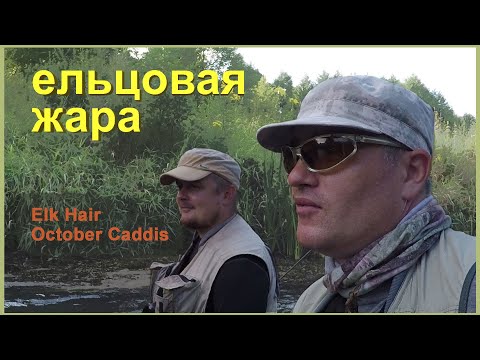 Видео: Ельцовая жара. Ловля ельца на сухую мушку. Elk Hair October Caddis.