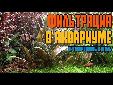 Видео: Фильтр для аквариума | Фильтрация в аквариуме | Активированный уголь