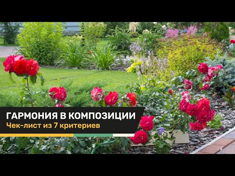 Видео: Курсы ландшафтного дизайна для начинающих | Цветник | Урок 2: 7 критерий гармоничного цветника