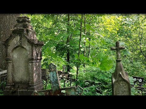 Видео: ГОРОД МЕРТВЫХ: Пороховское кладбище (СПб).