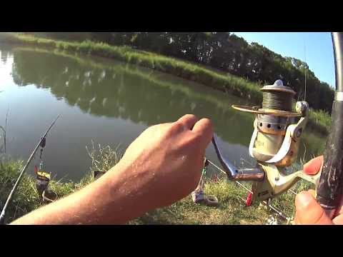 Видео: Битва  прикормок для рыбалки,фильм первый (Дневник рыболова)