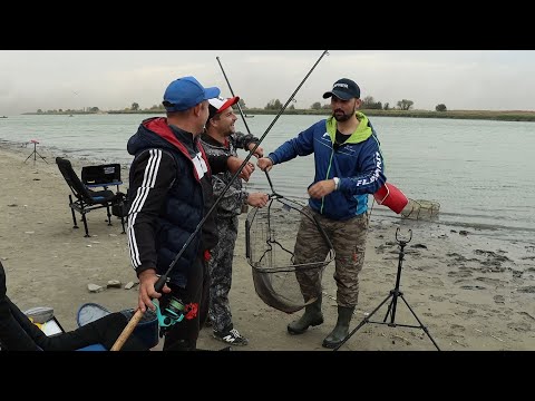 Видео: Осенний жор САЗАНА во время песчаной бури! река Дон, Рогожкино. Сазан не РВЕТ лески! Рыбалка 2020