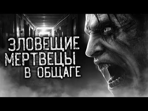 Видео: ЗЛОВЕЩИЕ МЕРТВЕЦЫ В ОБЩАГЕ! Страшные истории на ночь. Страшилки. Жуткие истории