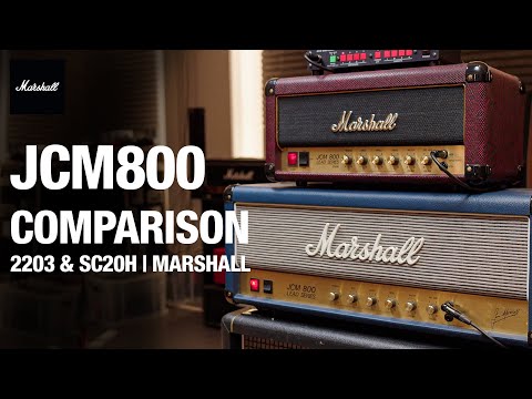 Видео: Сравнение JCM800 с Fluff (RiffsAndBeards) | 2203 и SC20H | Marshall