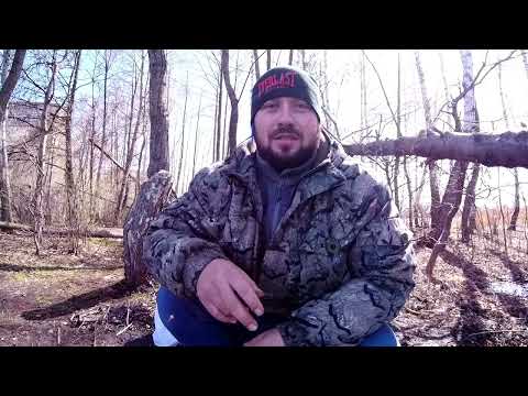 Видео: Первая весенняя фидерная рыбалка