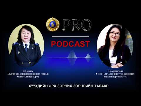 Видео: Про подкаст №33 ХҮҮХДИЙН ЭРХ ЗӨРЧИХ ЗӨРЧЛИЙН ТАЛААР