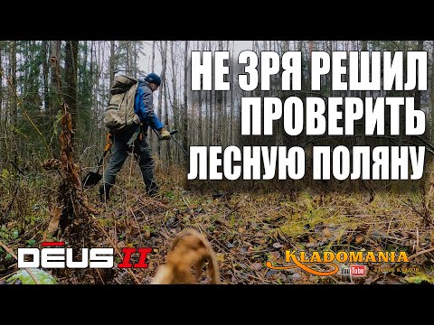 Видео: НЕ ЗРЯ решил проверить ЛЕСНУЮ ПОЛЯНУ. Снова находки в лесу. Кладомания