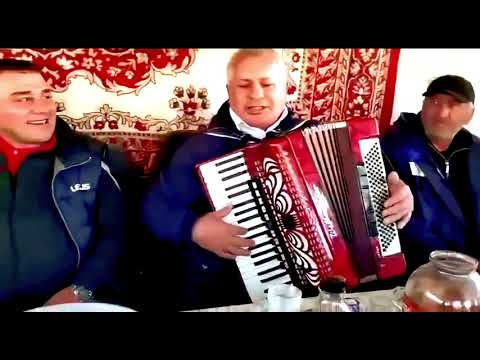 Видео: САМАЯ МОЩНАЯ АВАРСКАЯ ПЕСНЯ ШАПИ НУРАХМАЕВ ПОЁТ 