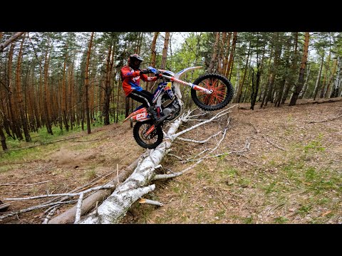 Видео: Меня смущает только дерево! / Эндуро Кузнецк