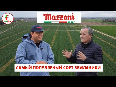 Видео: Интервью с питомником Mazzoni