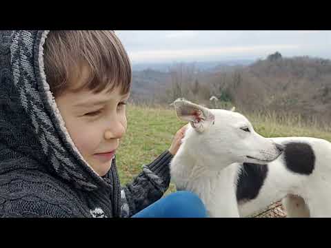 Видео: На весну в Абхазию, день 114