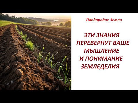 Видео: Как разрушить плужную подошву без глубокорыхлителя (чизеля) №679/24