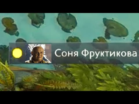 Видео: вайб утренних каток