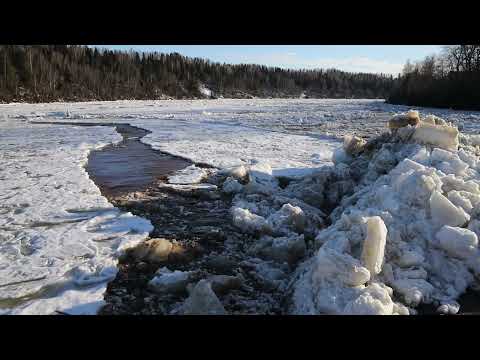 Видео: Ледоход на Сухоне 2023 в Нюксенице, 5 апреля
