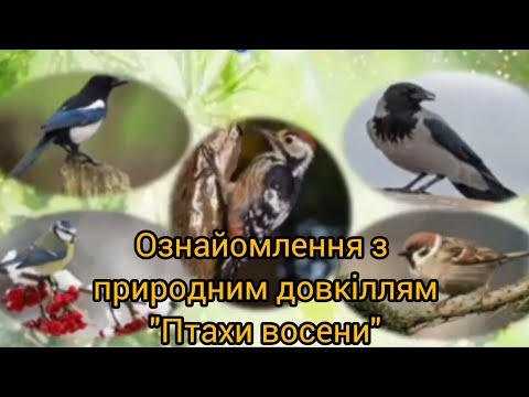 Видео: Ознайомлення з природним довкіллям "Птахи восени" для дітей старшого дошкільного віку