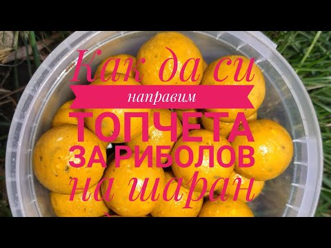 Видео: Carp fishing. Как да си направим топчета за риболов на шаран в домашни условия.