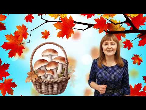 Видео: @larysastepanets5091 Праця людей восени. Соціальний світ