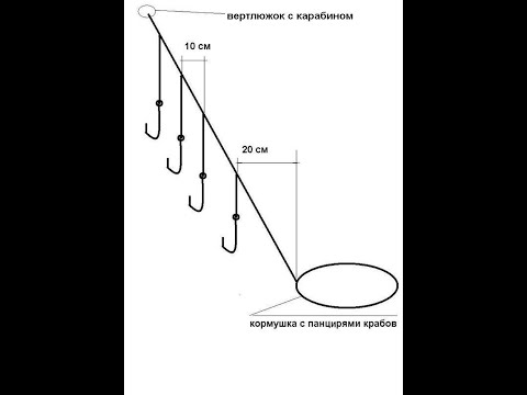 Видео: Монтаж донки для ловли красноперки, воблы, тарани