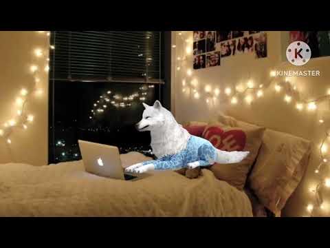 Видео: Страшилка 𝖂𝖎𝖑𝖉 𝖈𝖗𝖆𝖋𝖙 ( не смотри ночью в окна )