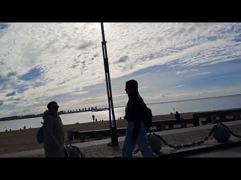 Видео: Санкт-Петербург. Финский залив. Лахта центр. 27.09.2025.