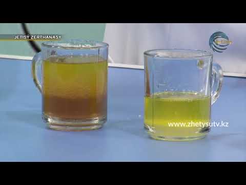 Видео: Жетісу зертханасы - Сапалы күнбағыс майын таңдау