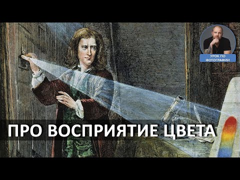 Видео: Восприятие цвета