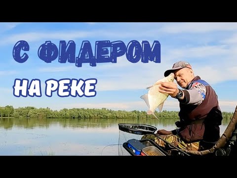 Видео: С фидером на реке. Поклёвки на фидер. Рыбалка 2024. Ловля леща на фидер.