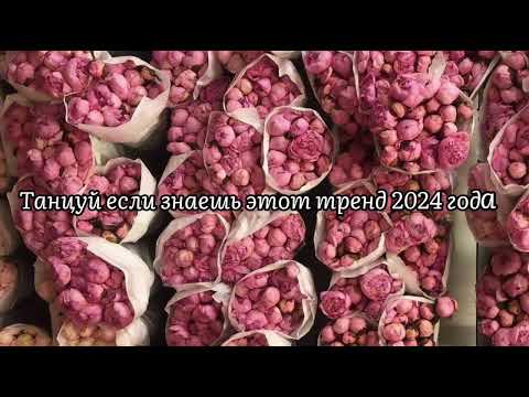 Видео: 🌹Танцуй если знаешь этот тренд 2024 года🌹