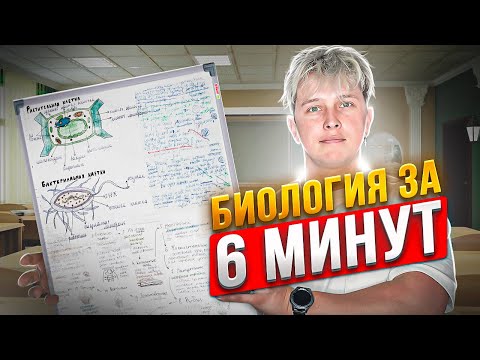 Видео: БИОЛОГИЯ ДЛЯ ЧАЙНИКОВ — Весь школьный курс за 6 мин