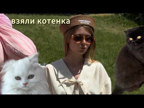 Видео: Ч.1🇹🇷Зарочка в шоке от нового друга / подружатся ли они 😖 