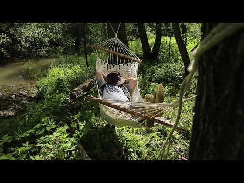 Видео: Седло косули