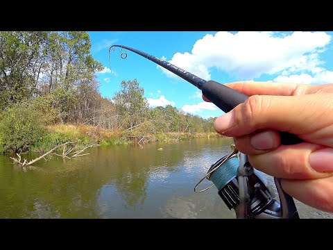 Видео: ВСТАЛИ в КЛЁВОМ МЕСТЕ и ЩУКА НА КАЖДОМ ЗАБРОСЕ! Ловля щуки на спиннинг осенью! Рыбалка на джиг 2023!