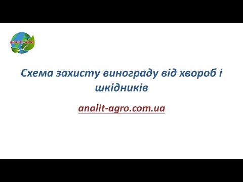 Видео: Схема захисту винограду від хвороб і шкідників.