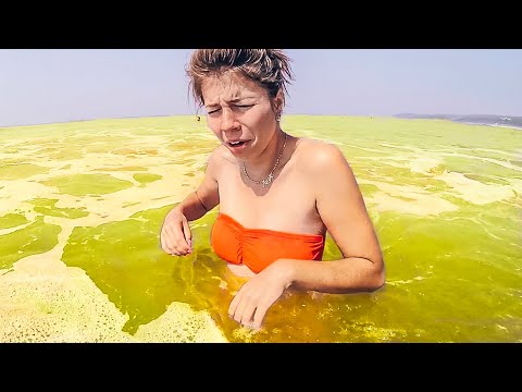 Видео: Летим в Гоа. Вонючие пляжи Индии. Деревня Арамболь