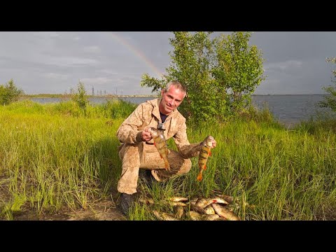 Видео: ЧЕМ БОЛЬШЕ ОЗЕРО ТЕМ КРУПНЕЕ ОКУНЬ. РЫБАЛКА НА СПИННИНГ.