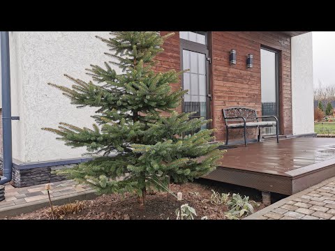 Видео: Короткий осенний день и всего один пункт плана выполнен. 07.11.2025 восток Ленинградской области 