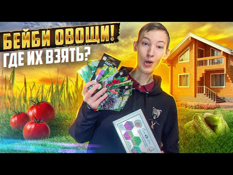 Видео: Вот где я беру семена в пакетиках!? Набор микрозелени!